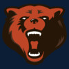 Chicago Bears 2011 News and Rumors