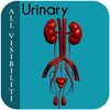 All Visibiliti Urinary v1