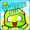 Turtle Runs