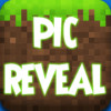 Pic reveal - Minecraft Edition