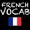 French Vocab Game - learn vocabulary the fun way!