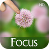 Art Focus & Blur Effect HD