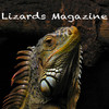 Lizards Magazine