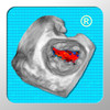 CARDIO3® Atlas of 3D Echocardiography