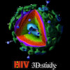 HIV 3D study
