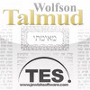 Wolfson Talmud - Eruvin