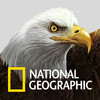Birds Lite by National Geographic