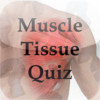 Muscle Tissue Quiz
