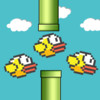 Flappy Pipe Vs Birds