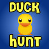 Duck Hunt Game