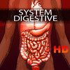 HD System Digestive