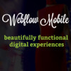 Webflow Design