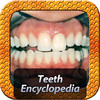 Teeth Encyclopedia st