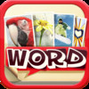WordBox - Guess the Word