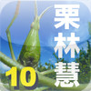 Insect Photobook Free Edition -The World of KURIBAYASHI,SATOSHI-