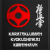 Karateklubben Kyokushinkai KBH