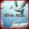 Birds Atlas