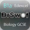 DrSwot B1a Edexcel GCSE