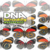DNA Barcoding Assistant