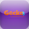 Gecko - epaper