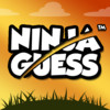 Ninja Guess iPad