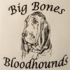 Big Bones Bloodhounds