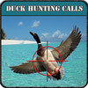 Duck Hunting Calls-Pro