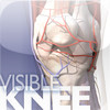 Visible Knee