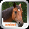 Animal Match - Fun For Kids