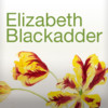 Elizabeth Blackadder - National Galleries of Scotland
