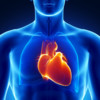 Learn Your Risk - Healthy Heart & Blood Vessels