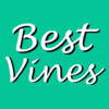 Best Videos for Vine 2