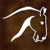 EquiSketch Records - The Stable, Rider and Show Record Keeper for Horse Lovers
