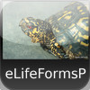 Search Life Forms Plus - eLifeFormsP