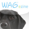 Wagezine - dog magazine