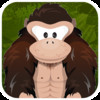 Gorilla Workout : Fitness Aerobic and Strength Trainer on a Budget