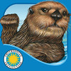 Otter on His Own - Smithsonian Oceanic Collection