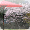 Wallpapers of Japan for iPad -KYOTO-