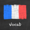 French Vocab Master