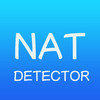 NAT Detector