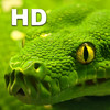 Snake Catalog HD