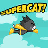 Supercat Flying Game