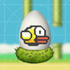 Birds Egg