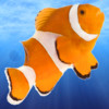 Fish Racer - Underwater Dash to Freedom