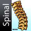 Spinal Cord Encyclopedia
