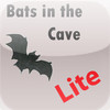 Bats in the Cave Lite