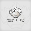 Mind Flex