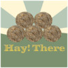 Hay! There