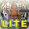 Animal Puzzle Lite (Play & Learn)