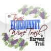 Texas Bluebonnet Wine Trail